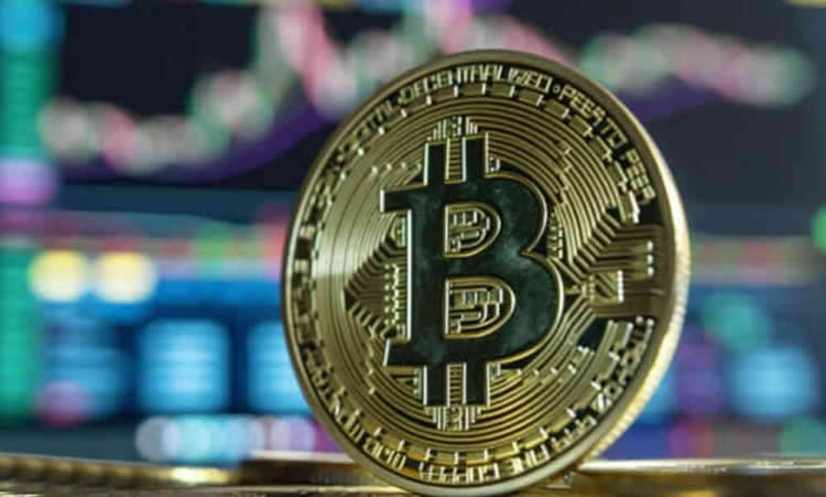 2025年比特币持币地址数量是多少？比特币持币地址数量怎么算？-网创圈