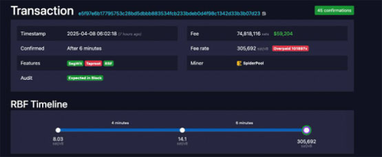 图片[2]-一文了解惊慌失措的比特币（BTC）用户错误支付近6万美元的交易费用-网创圈