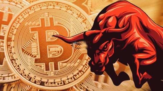Santiment分析：比特币巨鲸开始重新累积BTC！山寨季无法到来是meme币影响？-网创圈