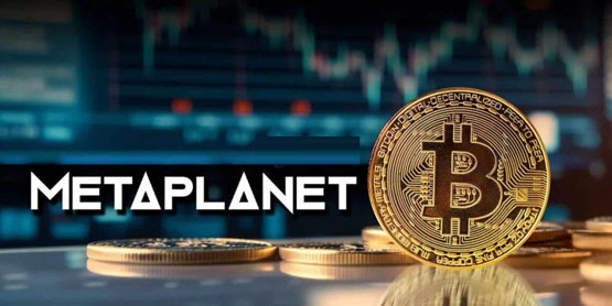 一文了解Metaplanet再购买319比特币、持币量破4500枚！跃升全球第9大企业巨鲸-网创圈