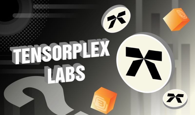 什么是Tensorplex Labs？Tensorplex团队、融资、产品介绍-网创圈