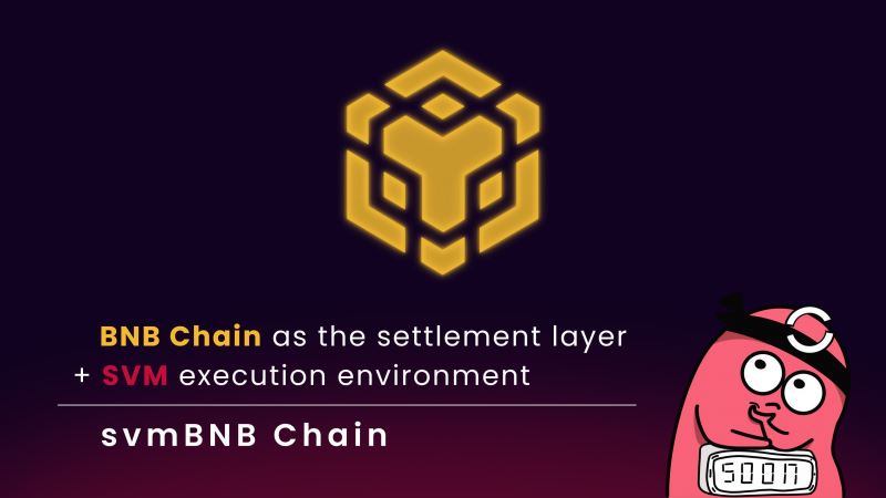 什么是svmBNB Chain？如何在SVMBNB链上创建SPL代币？-网创圈