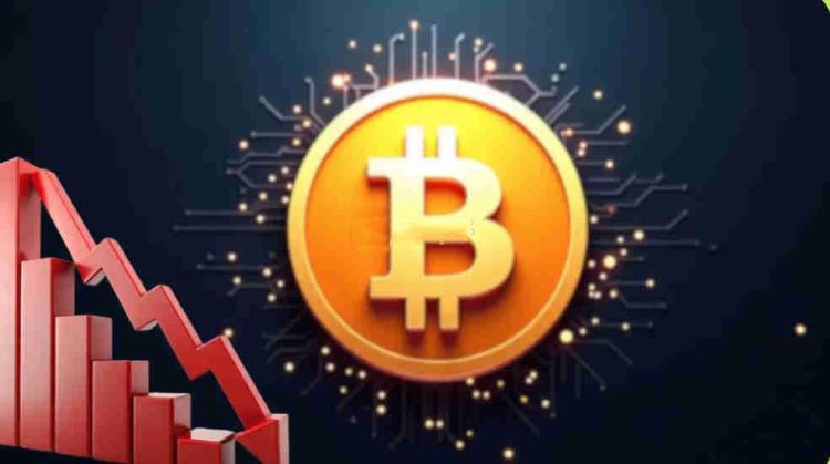 支持加密货币的国家有几个？支持加密货币的国家盘点-网创圈