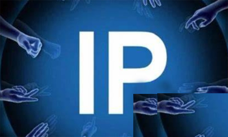 IP币合约地址多少？IP币的合约地址详解-网创圈