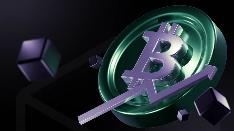 币圈财富进阶攻略：从1万到1200万的实战指南-网创圈