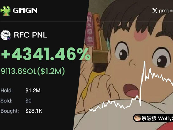 喜讯Meme币RFC逆势市值破一亿美元！KOL分享交易该币种的心路历程-网创圈