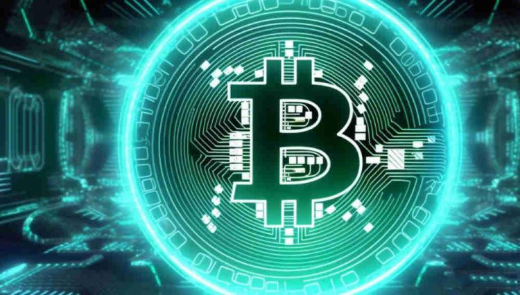 一个钱包地址可以放几个代币？-网创圈