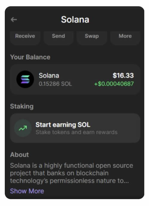 图片[8]-2025年Solana (SOL)钱包质押新手教程：初学者的分步指南-网创圈