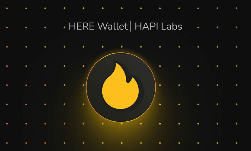 图片[8]-HERE Wallet(Web3钱包)是什么？如何设置HERE钱包？-网创圈