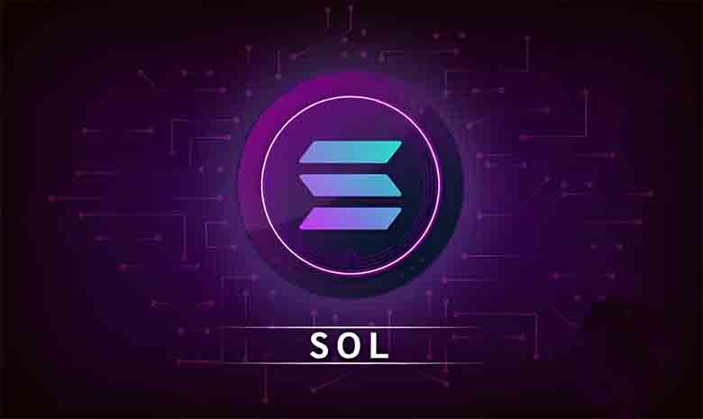 2025年Solana (SOL)质押新手教程：初学者的分步指南-网创圈