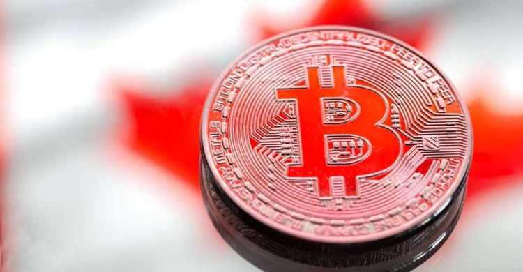 简单科普币圈K线图红色是涨还是跌？-网创圈