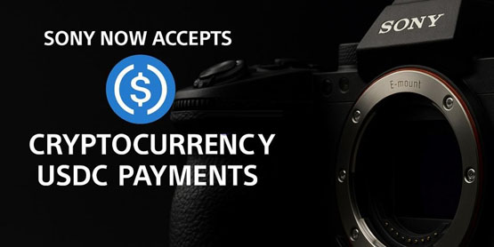 一文了解索尼新加坡线上商店与Crypto.com合作 推出接收USDC支付服务-网创圈