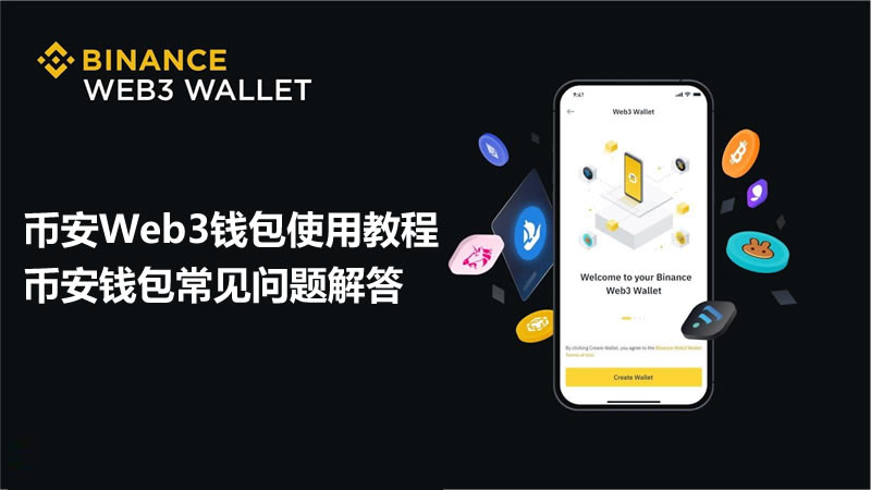 币安Web3钱包使用教程，币安钱包常见问题解答-网创圈