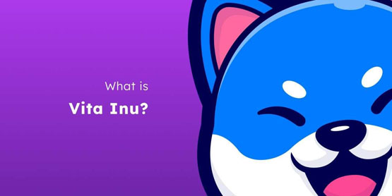 VINU是什么币种？VINU币价格最新行情-网创圈
