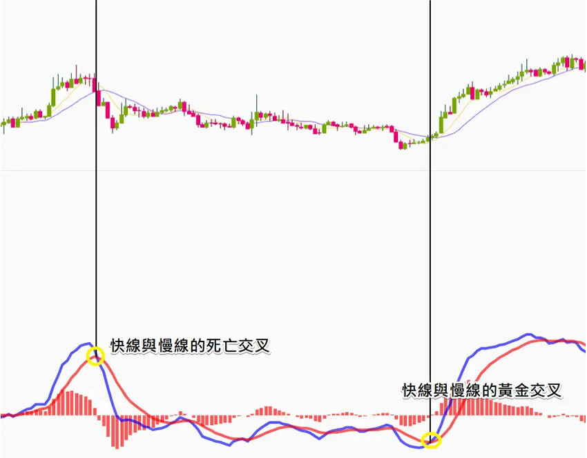 图片[6]-币安技术分析教学：MACD均线预测加密货币趋势-网创圈