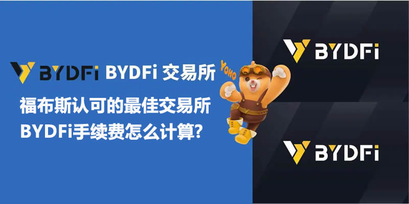 BYDFi交易所全面评价：福布斯认可的最佳交易所,BYDFi手续费怎么计算?-网创圈