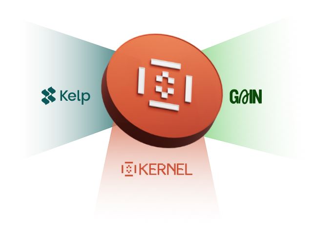 图片[8]-币安Megadrop积分最大化攻略：最新一期$KERNEL任务教学-网创圈