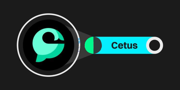 Cetus祭600万美元赏金与黑客谈判详细解读！Sui生态Meme币重伤-网创圈