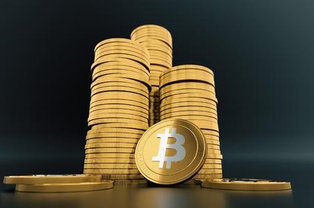 铜母钱有什么特征，沙钱又叫沙币,这是种什么样的动物-网创圈