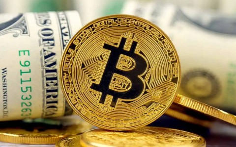 区块链交易所源码，数字货币是不是骗局-网创圈