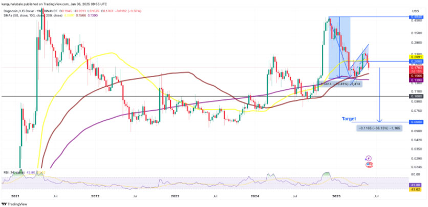图片[2]-特朗普与马斯克争端加剧造成狗狗币（DOGE）价格面临66%下跌风险至0.06美元-网创圈