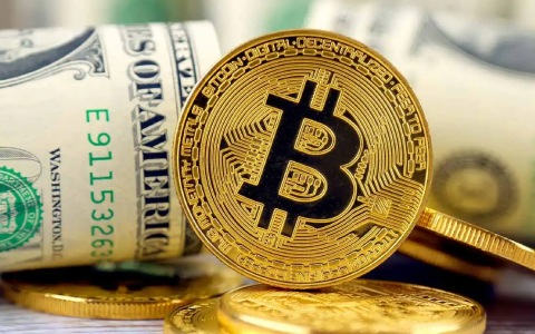 区块链的四大特征，沃尔玛区块链供应商有哪些(沃尔玛零售链系统分类)-网创圈
