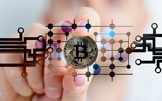 The Blockchain Group增持29枚比特币