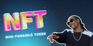 Snoop Dogg在TON链上推出一系列NFT！Pavel Durov：市场或许会变得很疯，NFT的未来趋势-网创圈