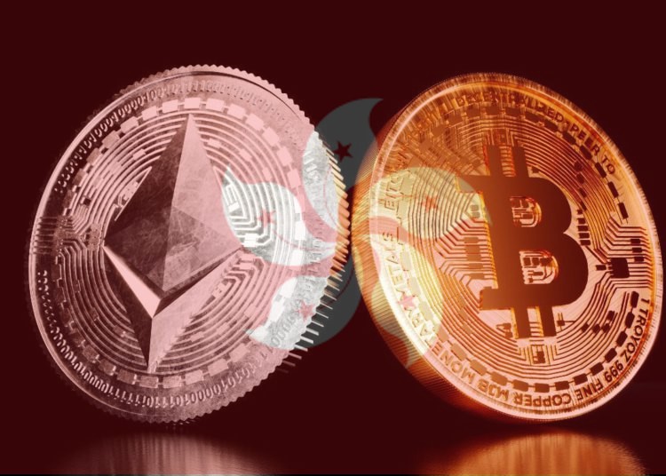 蚂蚁区块链查证，蚂蚁币代码是什么-网创圈