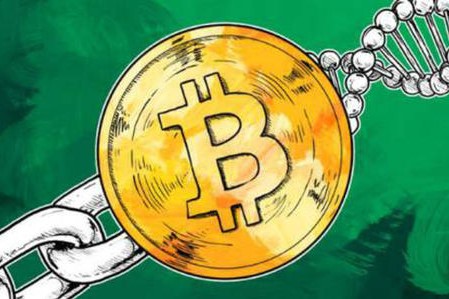比特币最新价格 今日，比特币长啥样-网创圈