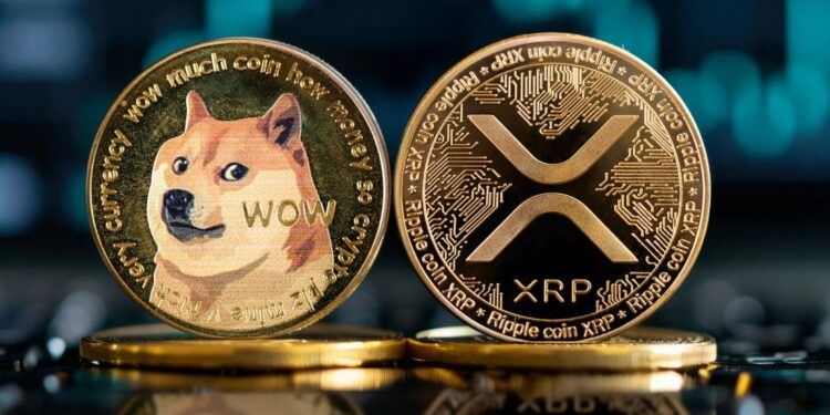 XRP和狗狗币ETF：关于这一颠覆性推出你需要了解的内容-网创圈