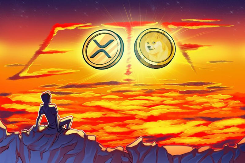 喜报：Rex-Osprey的瑞波币（XRP）、狗狗币（DOGE）ETF首日表现不俗，交易量达5400万美-网创圈
